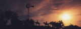 Sunset, Cowboys, Texas, USA Photographic Print by Panoramic Images 