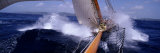Yacht Race, Caribbean Photographic Print by Panoramic Images 