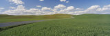 Road Passing Through a Wheat Field, Washington State, USA Photographic Print by Panoramic Images 