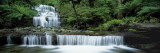 Liffey Falls, Tasmania, Australia Fotoprint van Panoramic Images