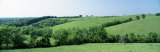 Horse Farm, Kentucky, USA Lámina fotográfica por Panoramic Images