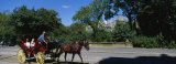 Tourists Traveling in a Horse Cart, New York City, New York State, USA Photographic Print by Panoramic Images 