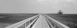 Marsh Boardwalk, Texas, USA Photographic Print by Panoramic Images 