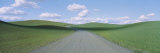 Road Passing Through a Wheat Field, Washington State, USA Photographic Print by Panoramic Images 