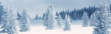 Fresh Snow on Pine Trees, Taos County, New Mexico, USA Photographic Print by Panoramic Images 