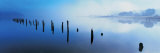 Loch Shiel, Scotland, United Kingdom Photographic Print by Panoramic Images 