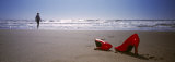 Woman and High Heels on Beach, California, USA Reprodukcja zdjęcia autor Panoramic Images Woman and High Heels on Beach, California, USA Reprodukcja zdjęcia autor Panoramic Images