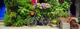 Bicycle in Front of Wall Covered with Plants and Flowers, Rochefort En Terre, France Lámina fotográfica por Panoramic Images