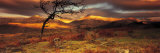Snowdonia National Park, Wales, United Kingdom Photographie par Panoramic Images 