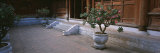 Potted Plant in a Courtyard, Temple of Literature, Hanoi, Vietnam Photographic Print by Panoramic Images 