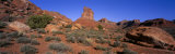 Valley of the Gods, Utah, USA Fotografie-Druck von Panoramic Images 