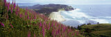 Foxgloves at Cascade Head, Tillamook County, Oregon, USA Photographic Print by Panoramic Images 