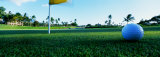 Close Up Golf Ball and Hole, Hawaii, USA Photographie par Panoramic Images 