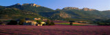Lavender Fields and Farms, High Provence, La Drome, France Photographie par Panoramic Images 