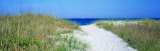 Path to Beach, Venice, Florida, USA Photographic Print by Panoramic Images Path to Beach, Venice, Florida, USA Photographic Print by Panoramic Images