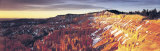 Bryce Canyon National Park, Utah, USA Photographic Print by Panoramic Images Bryce Canyon National Park, Utah, USA Photographic Print by Panoramic Images