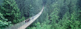Capilano Bridge, Suspended Walk, Vancouver, British Columbia, Canada Photographic Print by Panoramic Images 
