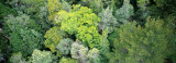 Tahune Forest Reserve, Tasmania, Australia Photographic Print by Panoramic Images 