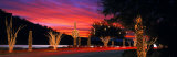 Christmas, Phoenix, Arizona, USA Lámina fotográfica por Panoramic Images Christmas, Phoenix, Arizona, USA Lámina fotográfica por Panoramic Images