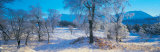 Trossachs National Park, Scotland, United Kingdom Lámina fotográfica por Panoramic Images Trossachs National Park, Scotland, United Kingdom Lámina fotográfica por Panoramic Images