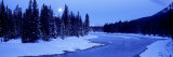 Moon Rising Above the Forest, Banff National Park, Alberta, Canada Photographic Print by Panoramic Images 