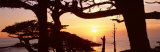 Sunset, Point Lobos State Reserve, California, USA Impressão fotográfica por Panoramic Images Sunset, Point Lobos State Reserve, California, USA Impressão fotográfica por Panoramic Images