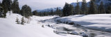 Trees Along Carson River, Hope Valley, California, USA Photographic Print by Panoramic Images