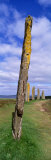 Ring of Brodgar, Orkney Islands, Scotland, United Kingdom Photographie par Panoramic Images 
