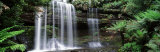 Rainforest, Mt. Field National Park, Tasmania, Australia Fotoprint van Panoramic Images