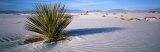 White Sands National Monument, New Mexico, USA Lámina fotográfica por Panoramic Images White Sands National Monument, New Mexico, USA Lámina fotográfica por Panoramic Images
