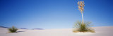 White Sands National Monument, New Mexico, USA Lámina fotográfica por Panoramic Images