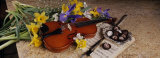 High Angle View of a Violin with Flowers Photographic Print by Panoramic Images 