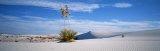 White Sands National Monument, New Mexico, USA Lámina fotográfica por Panoramic Images