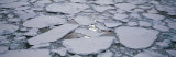Pack Ice, Ross Sea, Antarctica Photographic Print by Panoramic Images Pack Ice, Ross Sea, Antarctica Photographic Print by Panoramic Images