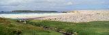 Kidney Cove, Falklands Islands Photographie par Panoramic Images 