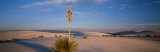 White Sands National Monument, New Mexico, USA Fotografie-Druck von Panoramic Images 