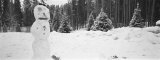 Snowman in a Forest, Winter Park, Colorado, USA Lámina fotográfica por Panoramic Images Snowman in a Forest, Winter Park, Colorado, USA Lámina fotográfica por Panoramic Images