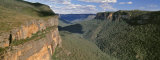 Panoramic View of Valley, Blue Mountains National Park, Australia Reprodukcja zdjęcia autor Panoramic Images Panoramic View of Valley, Blue Mountains National Park, Australia Reprodukcja zdjęcia autor Panoramic Images