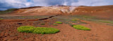 Steam Emitting from the Ground, Lehmjukur Thermal Area, Iceland Photographic Print by Panoramic Images 
