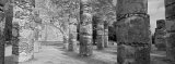 Group of 1,000 Columns, Chichen Itza, Yucatan, Mexico Lámina fotográfica por Panoramic Images Group of 1,000 Columns, Chichen Itza, Yucatan, Mexico Lámina fotográfica por Panoramic Images