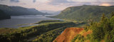 River Flowing Through the Valley, Columbia River Gorge, Oregon, USA Photographic Print by Panoramic Images 