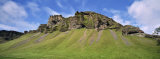 Sheep Grazing Below Green Lava Cliffs, South Coast, Iceland Photographic Print by Panoramic Images 