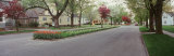 Street in the City, Holland, Michigan, USA Photographic Print by Panoramic Images 
