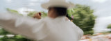 Traditional Yucatan Dance Performance, Merida, Yucatan, Mexico Photographic Print by Panoramic Images 