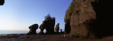 Person with a Dog, Bay of Fundy, Hopewell Rocks, New Brunswick, Canada Lámina fotográfica por Panoramic Images