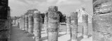 Group of 1,000 Columns, Chichen Itza, Yucatan, Mexico Photographic Print by Panoramic Images 