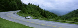 Cars Moving on the Road, Clingman's Dome, Great Smoky Mountains National Park, Tennessee, USA Photographic Print by Panoramic Images 