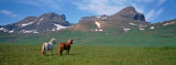 Horses Standing and Grazing in a Meadow, Borgarfjordur, Iceland Fotografie-Druck von Panoramic Images 