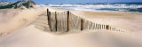Outer Banks, North Carolina, USA Photographic Print by Panoramic Images 
