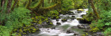 Olympic National Park, Washington State, USA Photographie par Panoramic Images 